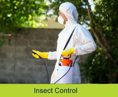 pest control solutions